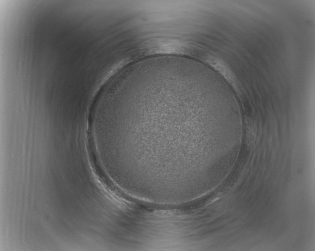 X0000071340482200606301630