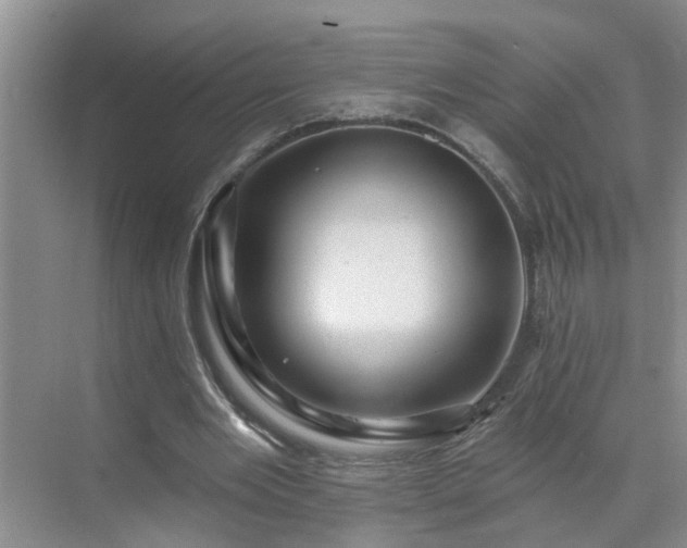 X0000071340485200606301630