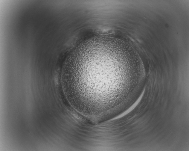 X0000071340515200606301630