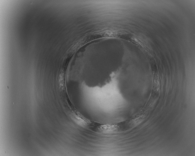 X0000071340526200606301629