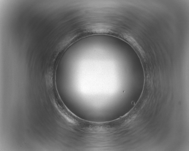 X0000071340533200606301629