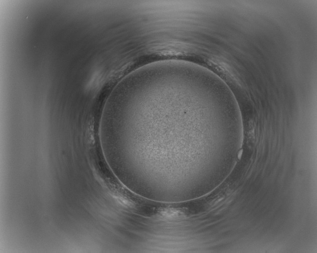 X0000071340547200606301629