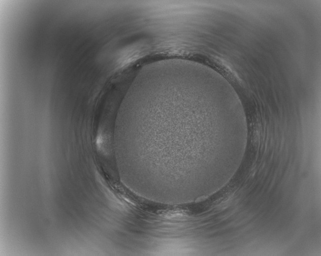 X0000071340643200606301627