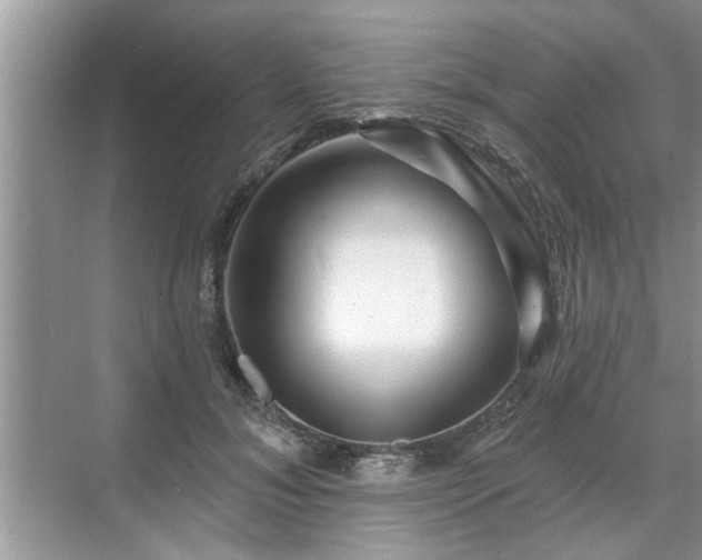 X0000071340700200606301627
