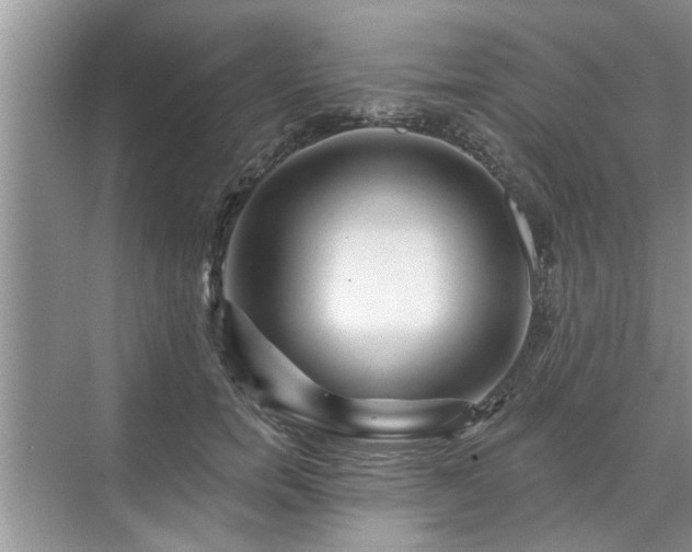 X0000071340750200606301626