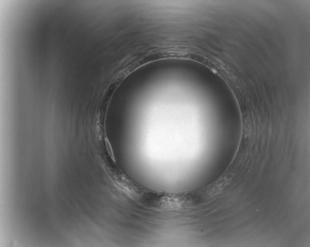 X0000071340764200606301626