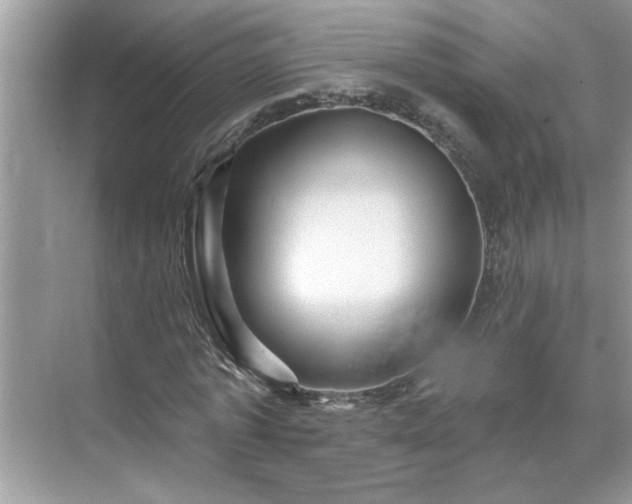 X0000071340773200606301625