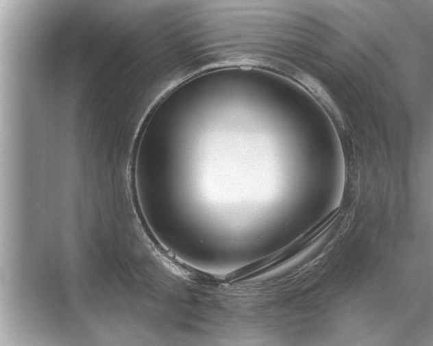 X0000071340805200606301625