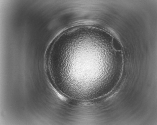 X0000071340835200606301624