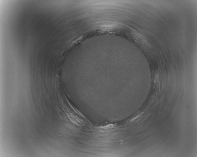 X0000071340868200606301624