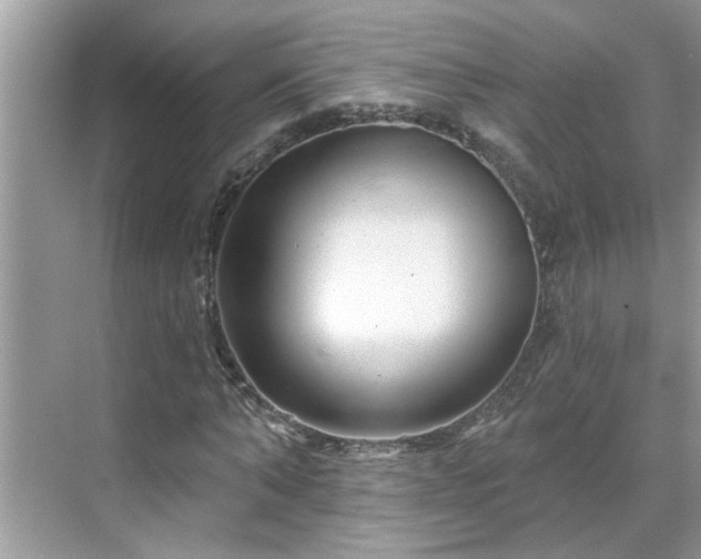 X0000071340870200606301624