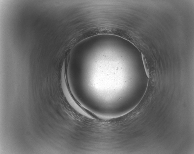 X0000071340916200606301622