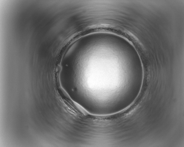 X0000071340921200606301622