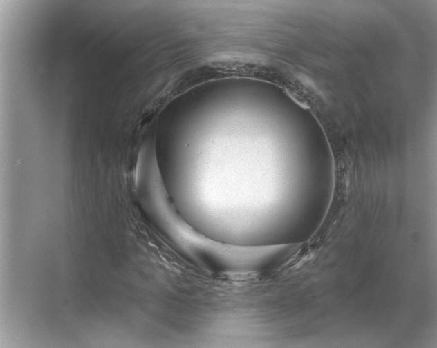 X0000071340965200606301622