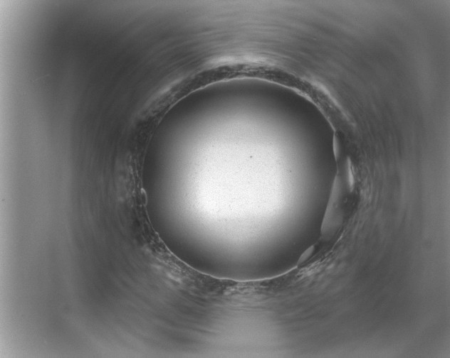 X0000071340967200606301622