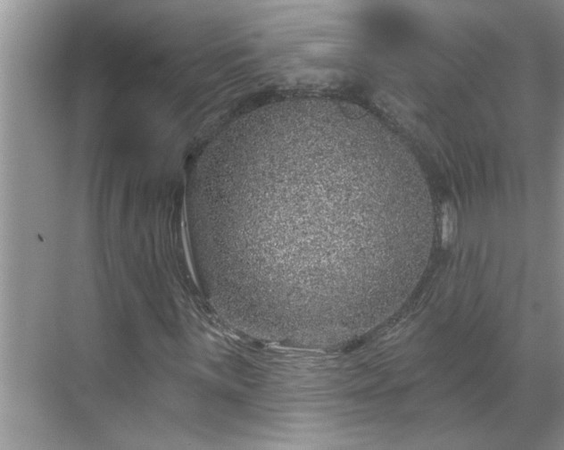 X0000071341059200606301620