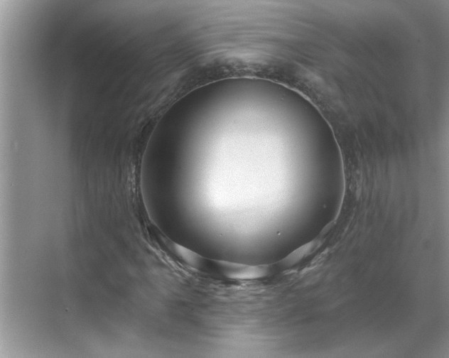 X0000071341061200606301620