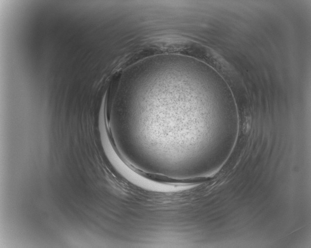 X0000071341108200606301619