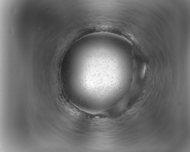 X0000071341153200606301619
