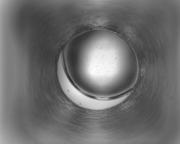 X0000071341156200606301619