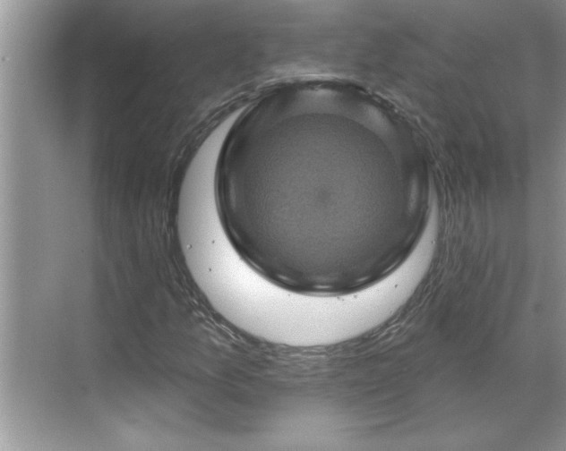 X0000071341157200606301619