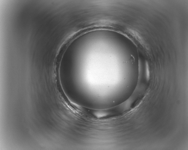 X0000071341164200606301619