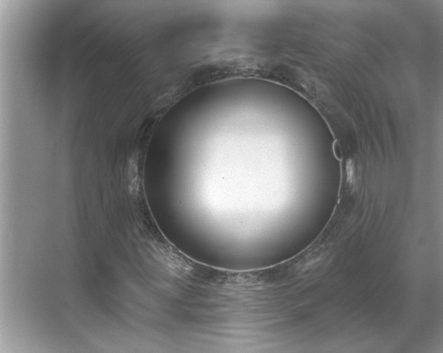 X0000071341203200606301617