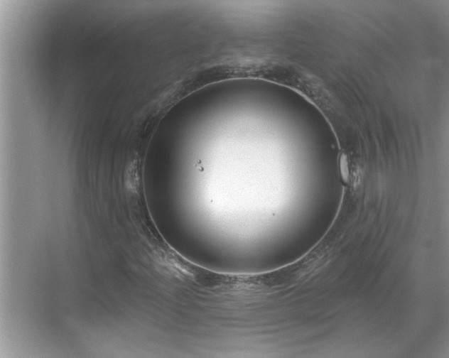 X0000071341204200606301617