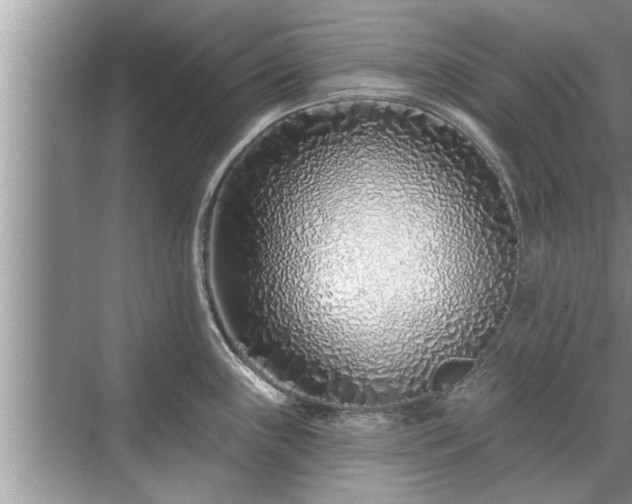 X0000071341243200606301618