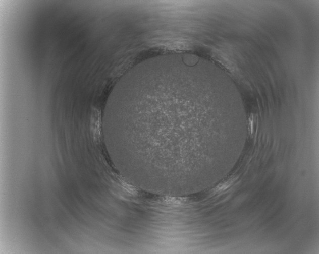 X0000071341251200606301617