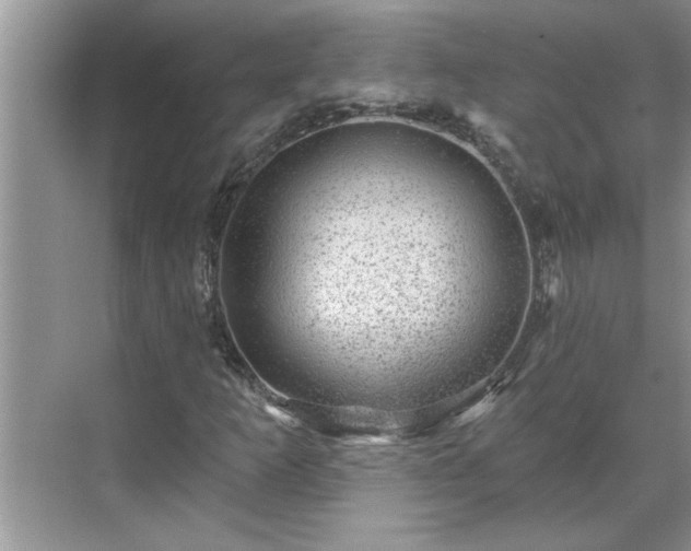 X0000071341253200606301617