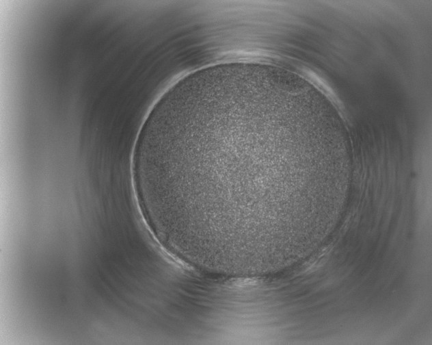 X0000071341283200606301617