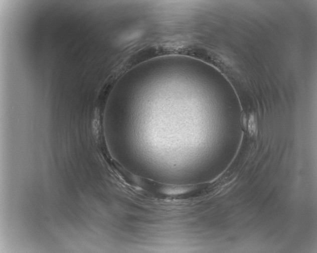 X0000071341299200606301616