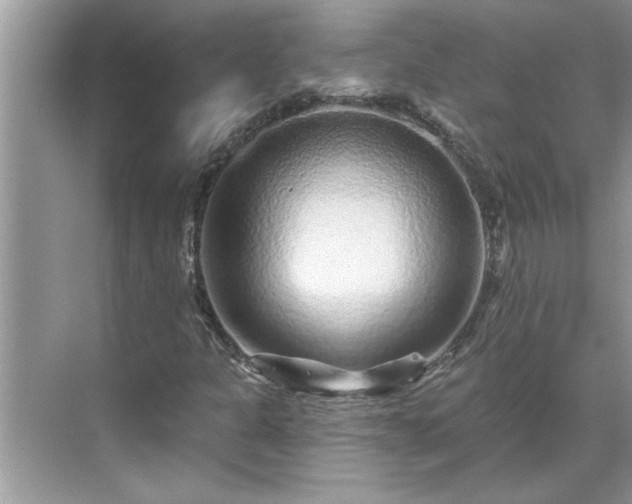 X0000071341301200606301616