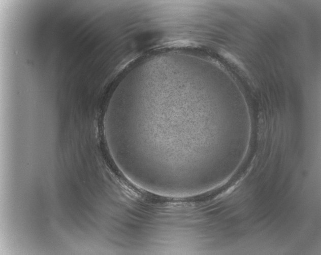 X0000071341305200606301616