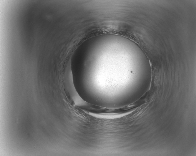 X0000071341345200606301616