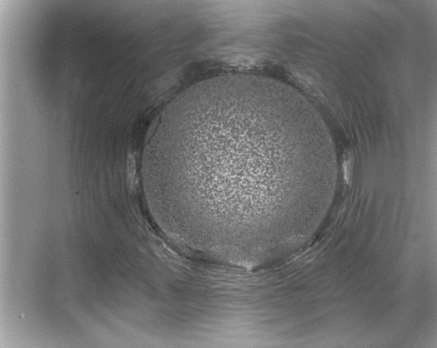 X0000071341347200606301616
