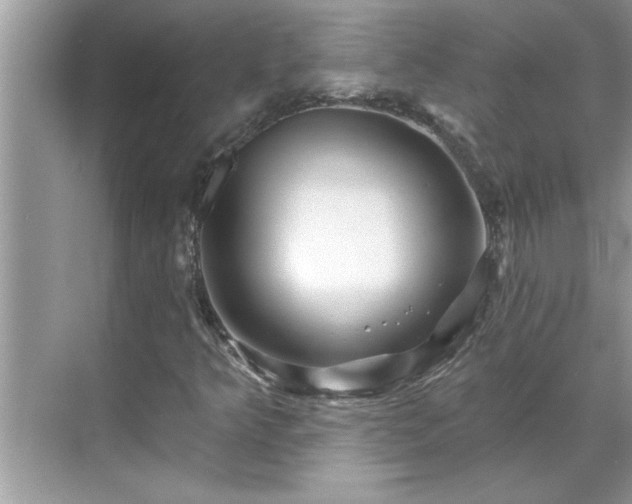X0000071341349200606301616