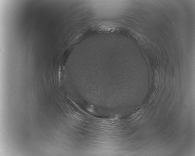 X0000071341394200606301614