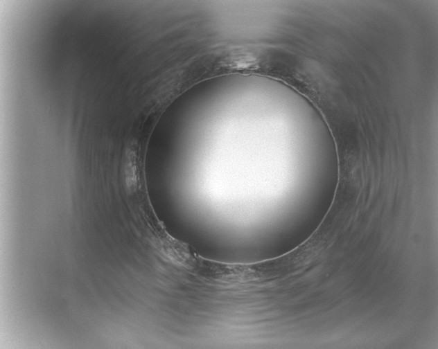 X0000071341442200606301614