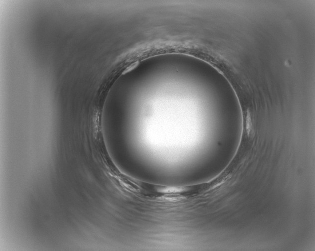 X0000071341492200606301613