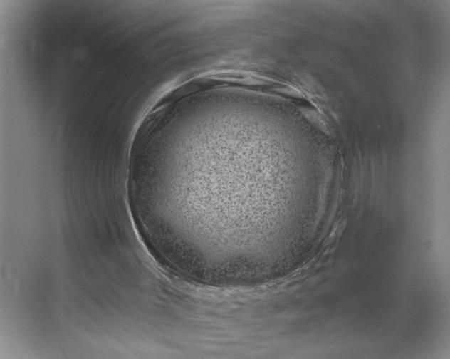 X0000071340003200607071710