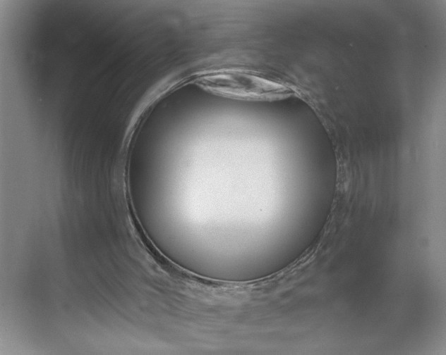 X0000071340004200607071710