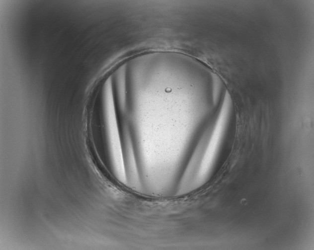 X0000071340005200607071710