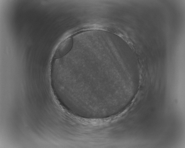 X0000071340006200607071710