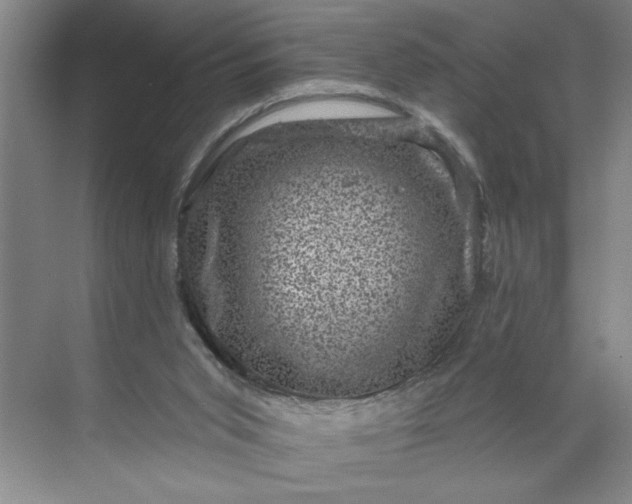 X0000071340015200607071710