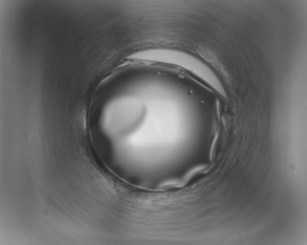 X0000071340021200607071710