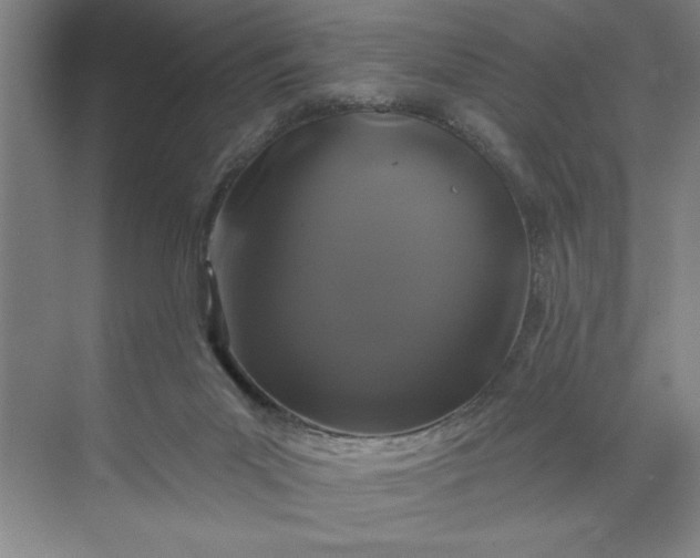 X0000071340023200607071710