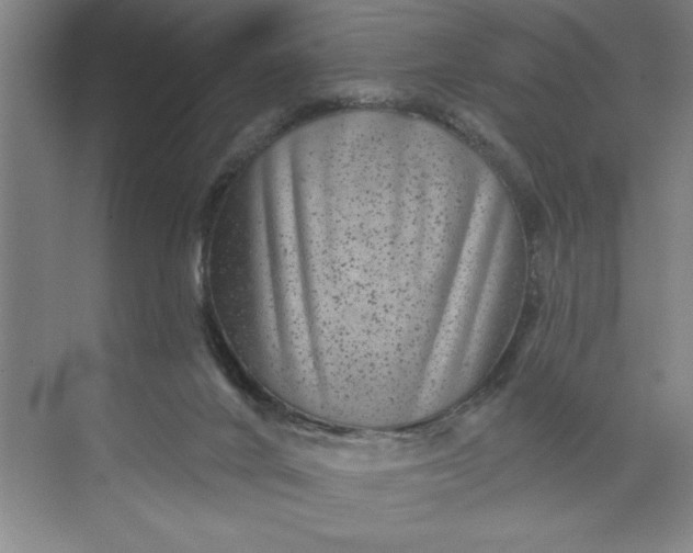 X0000071340024200607071710