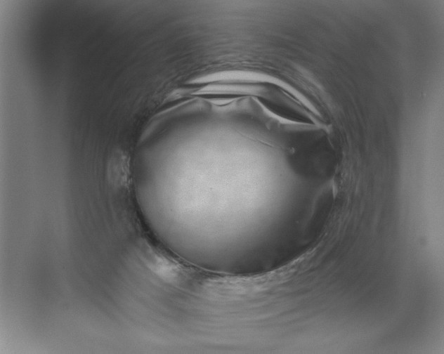 X0000071340025200607071710